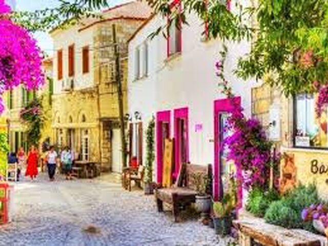 KARABURUN NERGİS ÇİÇEĞİ FESTİVALİ