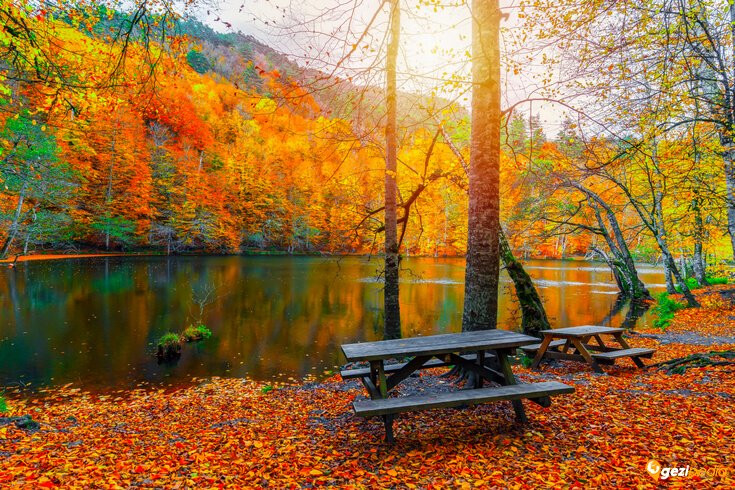 BATI KARADENİZ TURU